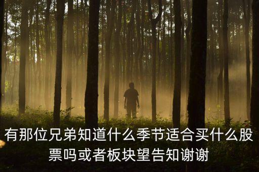 秋天什么股，秋季什么板塊股票好