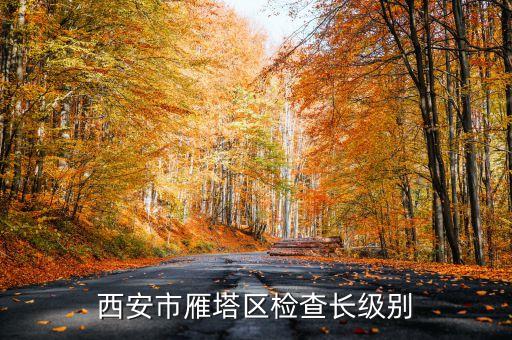 西安市正局級(jí)是什么級(jí)別，碑林分局局長(zhǎng)級(jí)別是什么級(jí)別