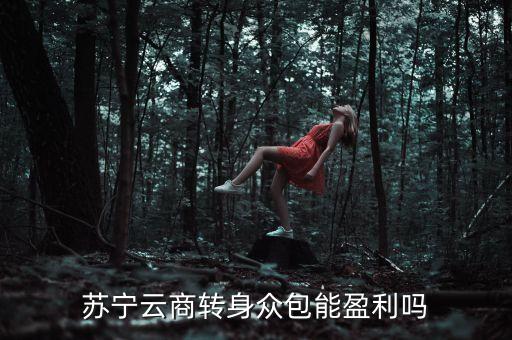 蘇寧眾包什么時候上線，蘇寧云商轉(zhuǎn)身眾包能盈利嗎