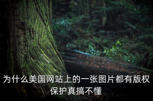 為什么國外重視版權(quán)，為什么美國網(wǎng)站上的一張圖片都有版權(quán)保護(hù)真搞不懂