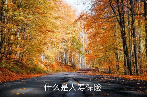 什么叫新型人壽保險，什么是人壽保險