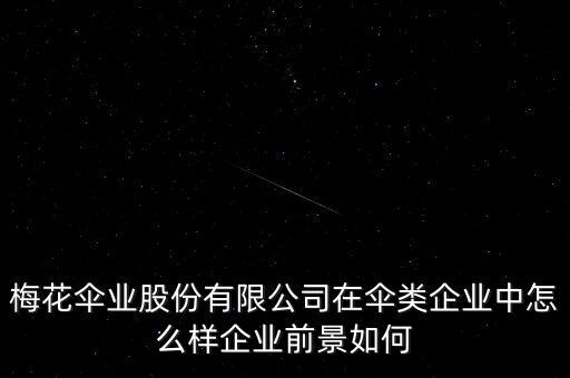 梅花傘業(yè)股份有限公司在傘類企業(yè)中怎么樣企業(yè)前景如何