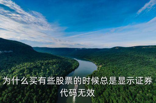證券代碼無效什么意思，為什么買有些股票的時候總是顯示證券代碼無效