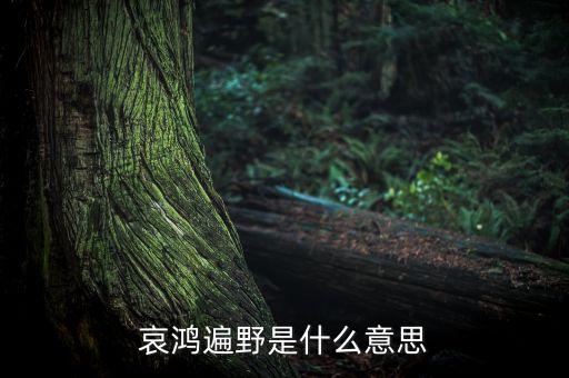 哀嚎遍野是什么意思，哀鴻遍野是什么意思