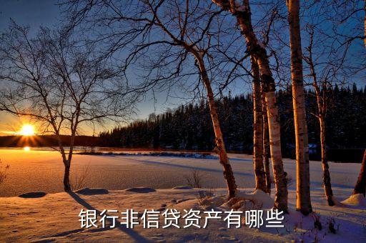 非信貸業(yè)務(wù)是什么，什么是銀行的非信貸資產(chǎn)