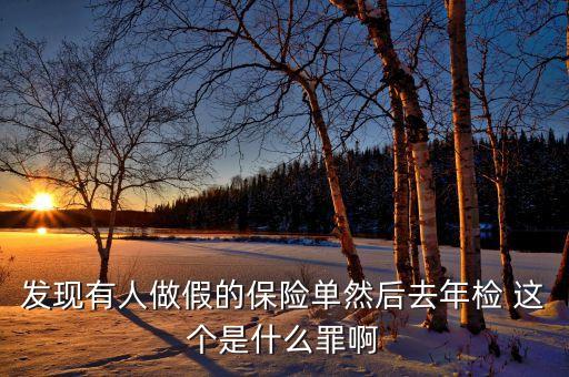 什么是做假保單，發(fā)現(xiàn)有人做假的保險單然后去年檢 這個是什么罪啊