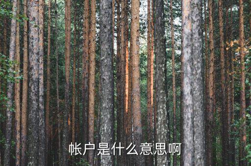 房地產(chǎn)預(yù)設(shè)帳戶是什么意思，房地產(chǎn)點訪是什么意思