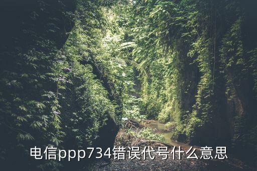 ppp在醫(yī)學(xué)代表什么，電信ppp734錯誤代號什么意思
