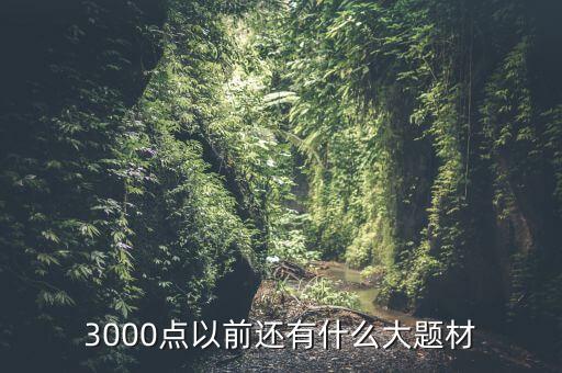 300073有什么題材，3000點(diǎn)以前還有什么大題材