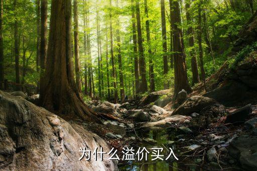 溢價(jià)買入是什么意思，溢價(jià)是什么意思