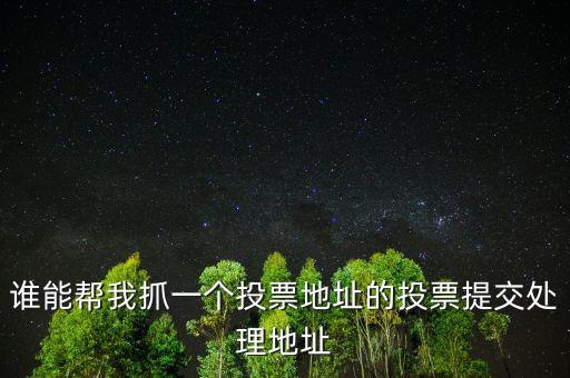 投票提交處理地址是什么，提交投票的問題怎么處理