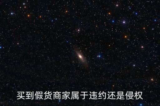 假進(jìn)口商家承擔(dān)什么責(zé)任，商家銷售假冒商品市場(chǎng)管理方要承擔(dān)多大的管理責(zé)任所在經(jīng)營(yíng)地的