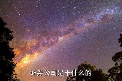 正規(guī)的證券公司是做什么的，證券公司干什么的