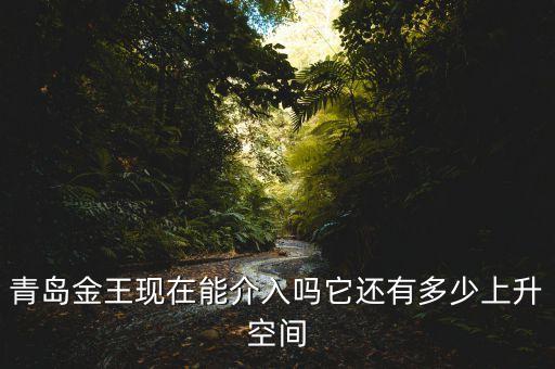 2015青島金王什么概念，青島金王現(xiàn)在能介入嗎它還有多少上升空間