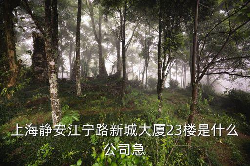 上海眾城大廈第23層是什么，上海浦東新區(qū)東方路818號(hào)眾城大廈1604室是什么公司啊