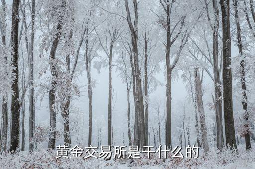 交易所是干什么的，黃金交易所是干什么的