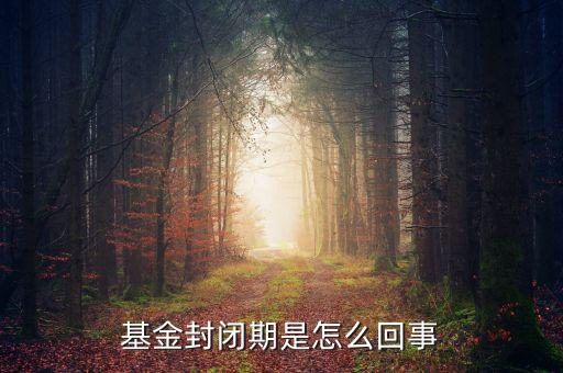 封閉式基金為什么要封閉，為什么認(rèn)購基金要封閉期封閉期是3個月內(nèi)不得提現(xiàn)