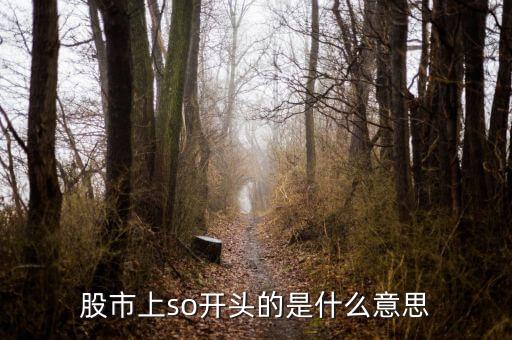 so股票什么意思，股市上so開(kāi)頭的是什么意思