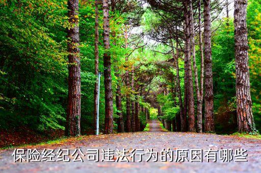 保險業(yè)金融機構存在什么的違法行為，銀行保險業(yè)金融機構涉黑涉惡禁止行為有哪些