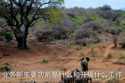 機(jī)構(gòu)業(yè)務(wù)部是做什么，業(yè)務(wù)部是什么意思
