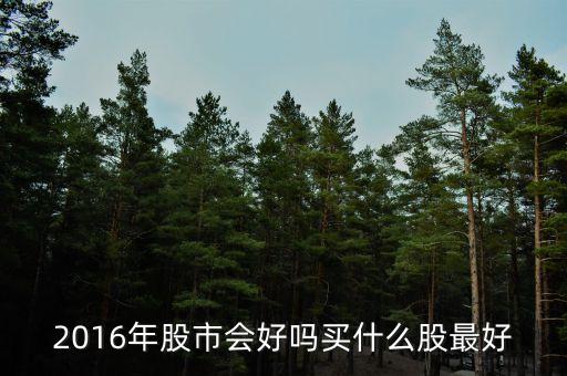2016年什么股票最賺錢，2010年到2016年最賺錢的股票