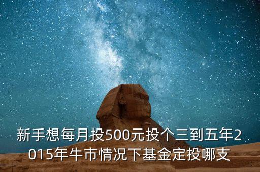 2015年新手買什么基金好，2015買什么基金比較好