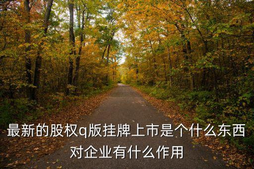 掛牌q版是什么意思，最新的股權(quán)q版掛牌上市是個什么東西對企業(yè)有什么作用