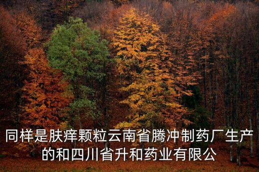 騰沖制藥廠是什么企業(yè)，云南騰沖制藥廠制造的人參再造丸