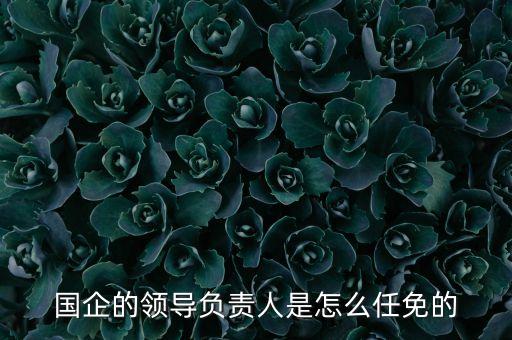 國企的領(lǐng)導(dǎo)負責(zé)人是怎么任免的