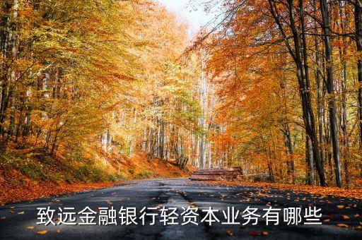 輕資本業(yè)務(wù)是什么，什么叫輕資本