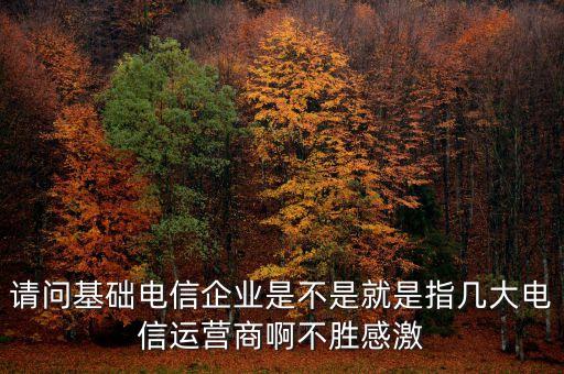 請(qǐng)問基礎(chǔ)電信企業(yè)是不是就是指幾大電信運(yùn)營(yíng)商啊不勝感激