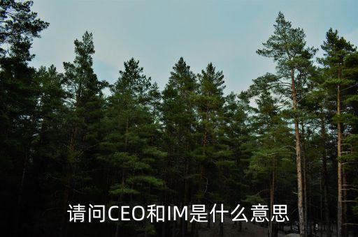 光大富尊IM是是什么，請問CEO和IM是什么意思
