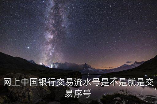 中國銀行企業(yè)網(wǎng)銀轉(zhuǎn)賬批次號什么意思，企業(yè)網(wǎng)銀客戶號是什么意思