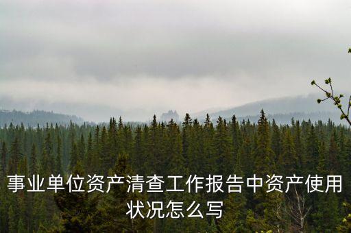 事業(yè)單位資產(chǎn)清查工作報(bào)告中資產(chǎn)使用狀況怎么寫