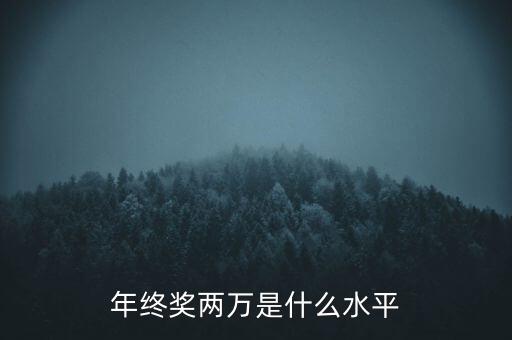 年終獎10000什么水平，月薪1700年終獎一萬算什么水平