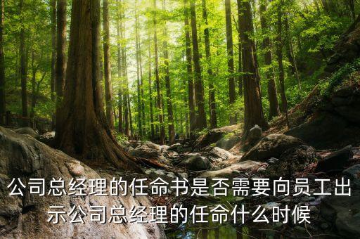 國企高管任免時(shí)間什么時(shí)候，國企的領(lǐng)導(dǎo)負(fù)責(zé)人是怎么任免的