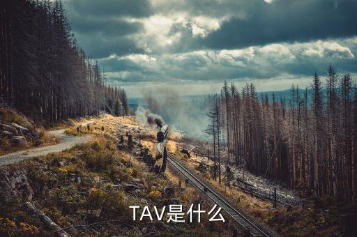 什么是孕線，TAV是什么