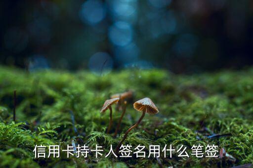 信用卡用什么筆簽名，信用卡持卡人簽名用什么筆簽