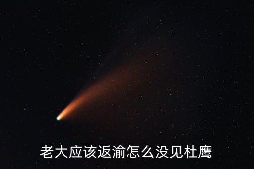 張曉強杜鷹為什么，發(fā)改委副主任杜鷹是誰的孩子