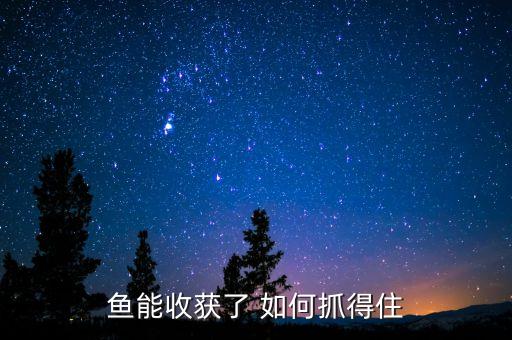 魚(yú)能收獲了 如何抓得住