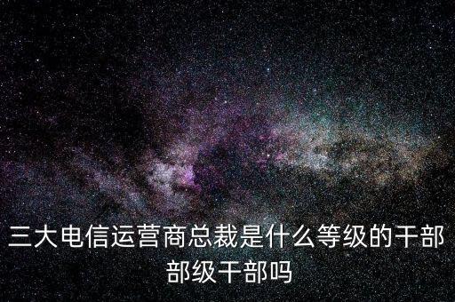溫冬芬是什么級別，安徽省天長市市委書記的行政級別是什么