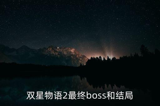 雙星汪海干什么去了，雙星 董事長