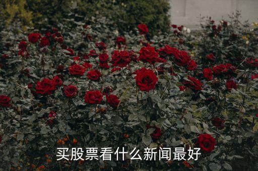 炒股看什么看什么財(cái)經(jīng)，有什么比較好的推薦股票的財(cái)經(jīng)節(jié)目