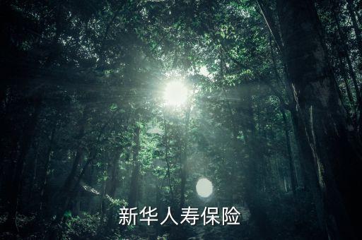 新華保險(xiǎn)康典是什么級(jí)別，新華人壽保險(xiǎn)