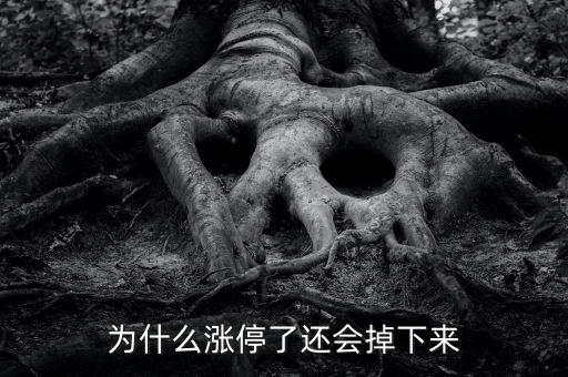 為什么股票漲停會(huì)往下掉，股票漲停怎么還會(huì)跌下來(lái)