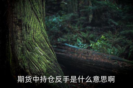 期貨中的反手什么意思，期貨中持倉反手是什么意思啊