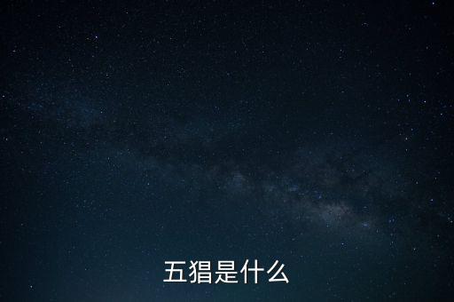什么是創(chuàng)智5，YY上面的五項(xiàng)創(chuàng)始人是誰