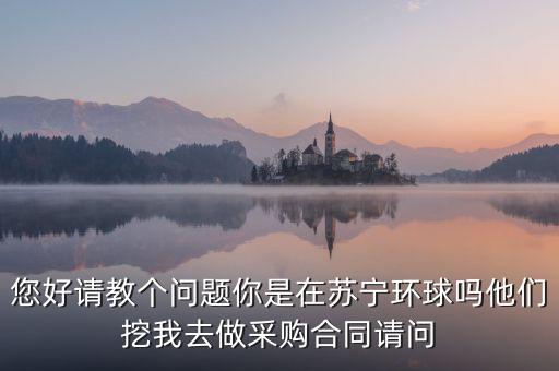 蘇寧環(huán)球是做什么的，蘇寧環(huán)球張桂平是做啥的