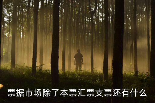 票據(jù)市場(chǎng)是各類票據(jù)什么的，票據(jù)貼現(xiàn)市場(chǎng)屬于貨幣市場(chǎng)嗎