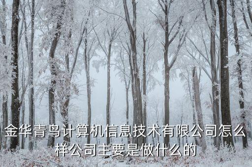 青鳥華光是做什么的，送機員是做什么的